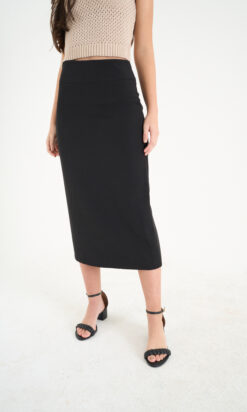 Alternative view of Pollera Bruna